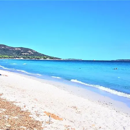 Maison 4 Pieces, Vue Panoramique, Piscine, Climatisation, Pres De Palombaggia Hébergement de vacances *