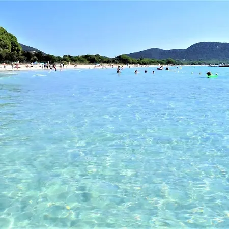 Maison 4 Pieces, Vue Panoramique, Piscine, Climatisation, Pres De Palombaggia Porto-Vecchio (Corsica)