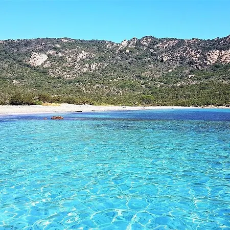 Maison 4 Pièces, Vue Panoramique, Piscine, Climatisation, Près De Palombaggia Casa vacanze