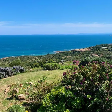 Maison 4 Pieces, Vue Panoramique, Piscine, Climatisation, Pres De Palombaggia Hébergement de vacances *