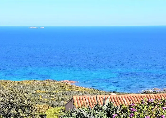 Maison 4 Pieces, Vue Panoramique, Piscine, Climatisation, Pres De Palombaggia * بورتو فيكشْيو