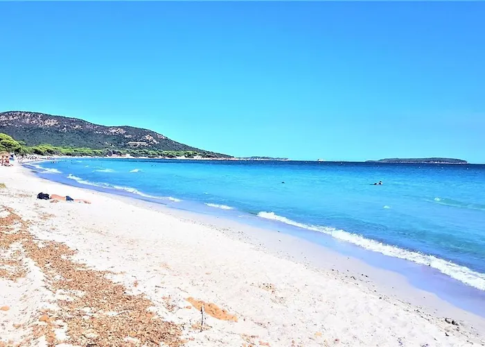 Maison 4 Pieces, Vue Panoramique, Piscine, Climatisation, Pres De Palombaggia בית נופש *