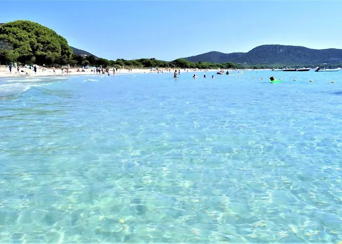 Maison 4 Pieces, Vue Panoramique, Piscine, Climatisation, Pres De Palombaggia بورتو فيكشْيو