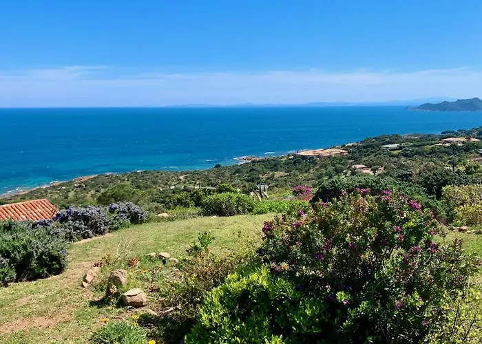 Maison 4 Pieces, Vue Panoramique, Piscine, Climatisation, Pres De Palombaggia بيت للعطل *