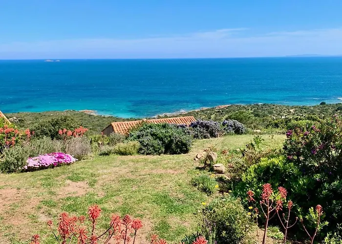 بيت للعطل Maison 4 Pieces, Vue Panoramique, Piscine, Climatisation, Pres De Palombaggia بورتو فيكشْيو