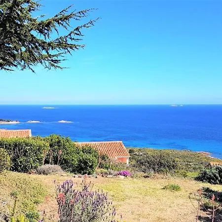 Maison 4 Pieces, Vue Panoramique, Piscine, Climatisation, Pres De Palombaggia *