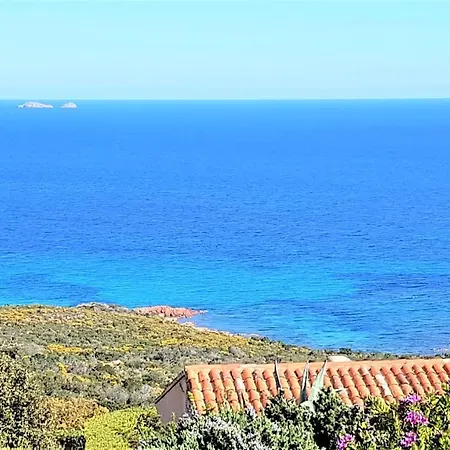 Maison 4 Pieces, Vue Panoramique, Piscine, Climatisation, Pres De Palombaggia * 포르토베쉬오