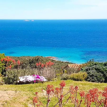 Maison 4 Pieces, Vue Panoramique, Piscine, Climatisation, Pres De Palombaggia * Porto-Vecchio (Corsica)