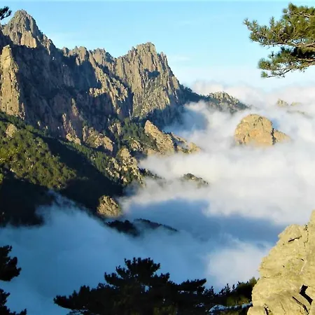 Maison 4 Pieces, Vue Panoramique, Piscine, Climatisation, Pres De Palombaggia Vakantiehuis *