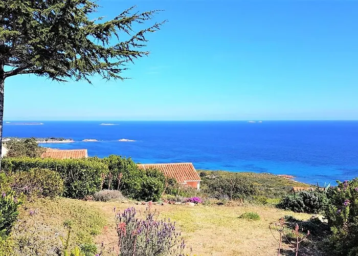 Maison 4 Pieces, Vue Panoramique, Piscine, Climatisation, Pres De Palombaggia *