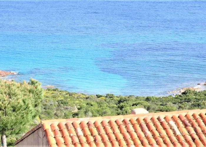 Maison 4 Pieces, Vue Panoramique, Piscine, Climatisation, Pres De Palombaggia *