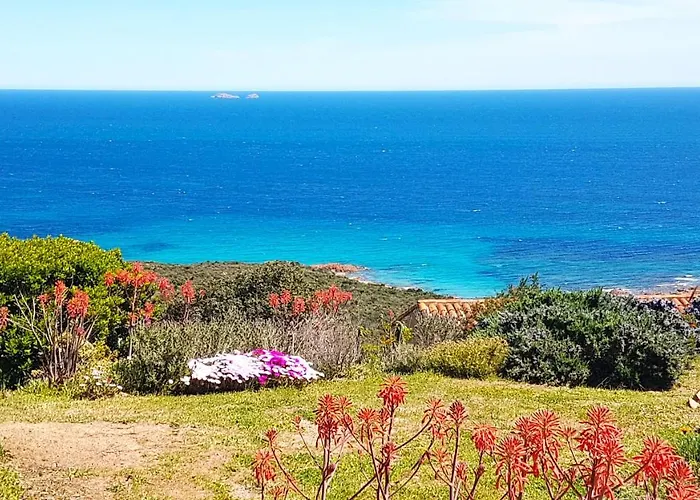 Maison 4 Pieces, Vue Panoramique, Piscine, Climatisation, Pres De Palombaggia * Porto Vecchio